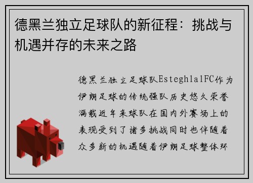 德黑兰独立足球队的新征程：挑战与机遇并存的未来之路